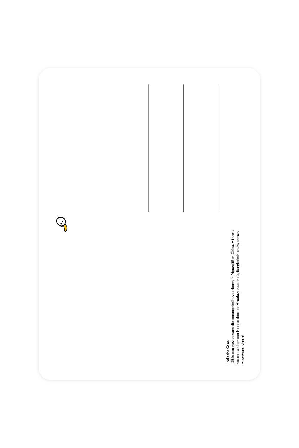 Carte postale avec une oie indienne