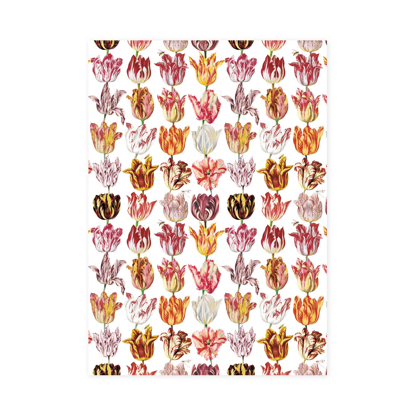 Tulips Dish Towel by Jacob Marrel