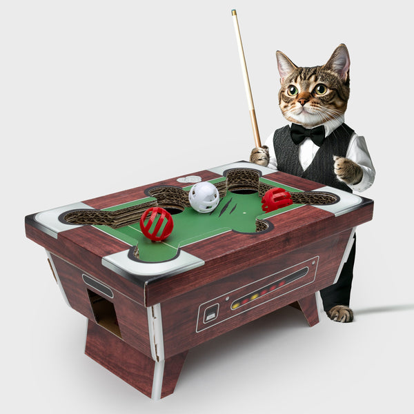 Billiard Table Cat Toy