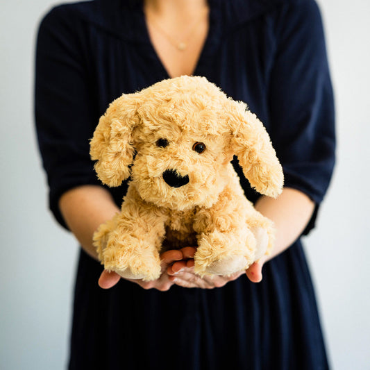 Chien bouclé bouillotte Warmies