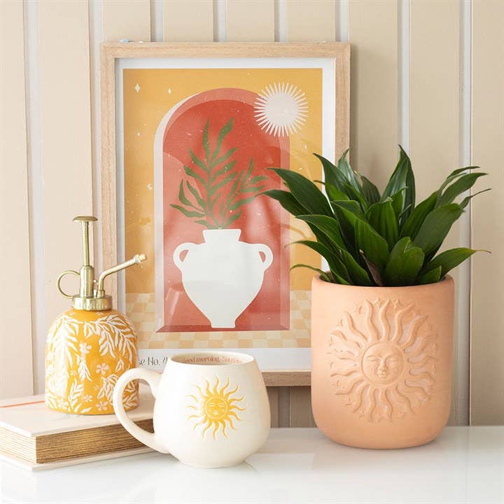 Terracotta plant pot Sun