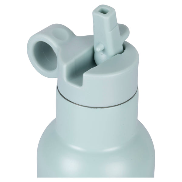 Lion Water Bottle 420ml