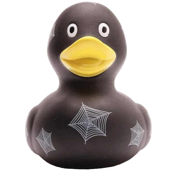 Duck Spiderweb