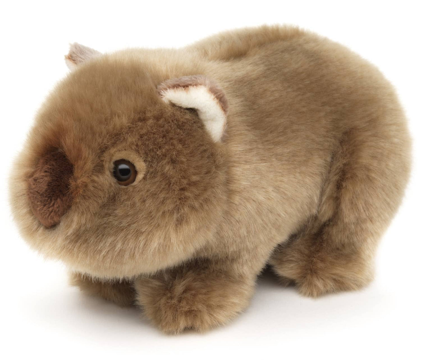 Wombat Plush Toy