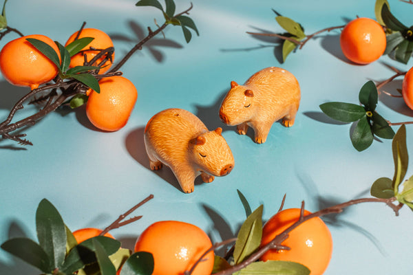 Salt and Pepper Capybaras