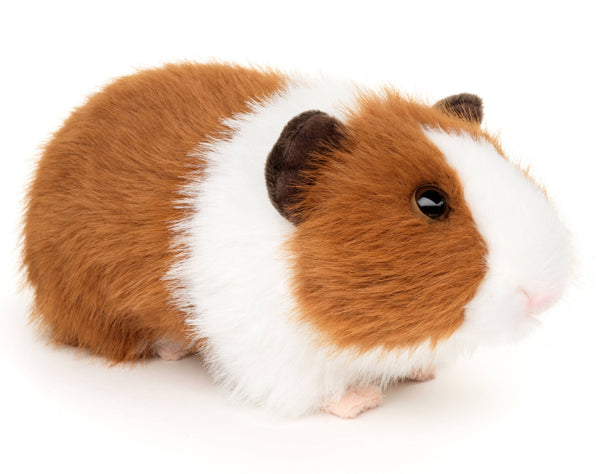 Peluche Cochon d'Inde (marron) Uni Toys