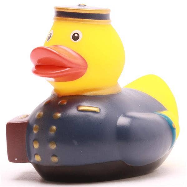 Blue Groom Duck