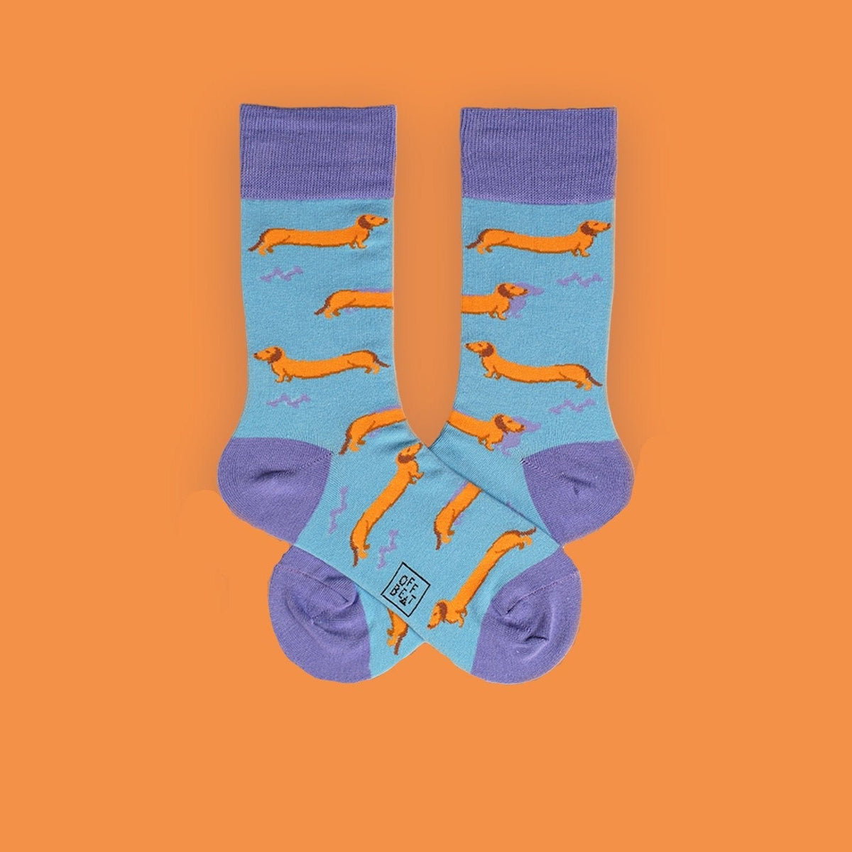 Coffret Cadeau Chaussettes Chien
