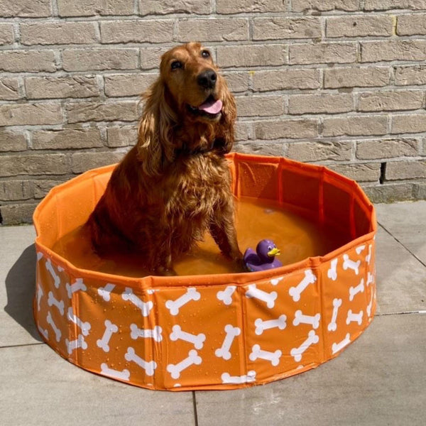 Dog Pool - Orange - Bonebash - Ø 80 cm