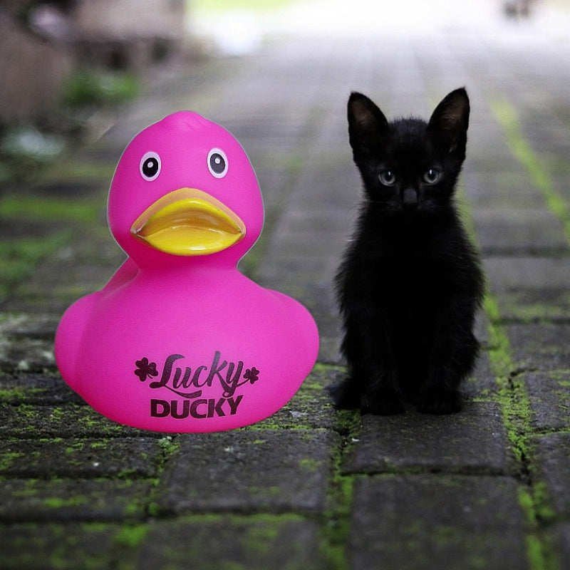 Canard "Lucky DUCKY"