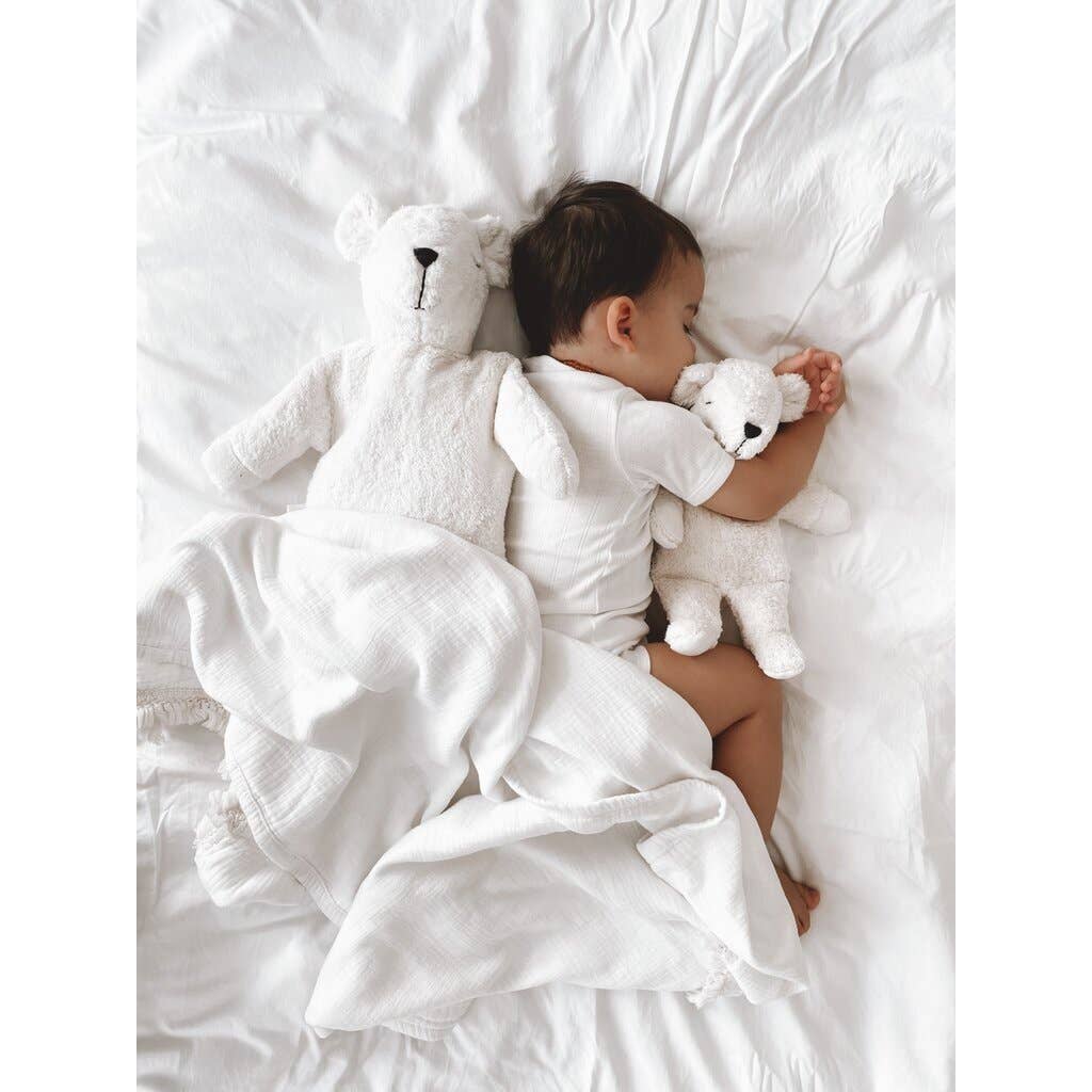 Small teddy polar bear