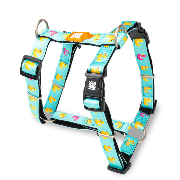 H-Harness - Ducks