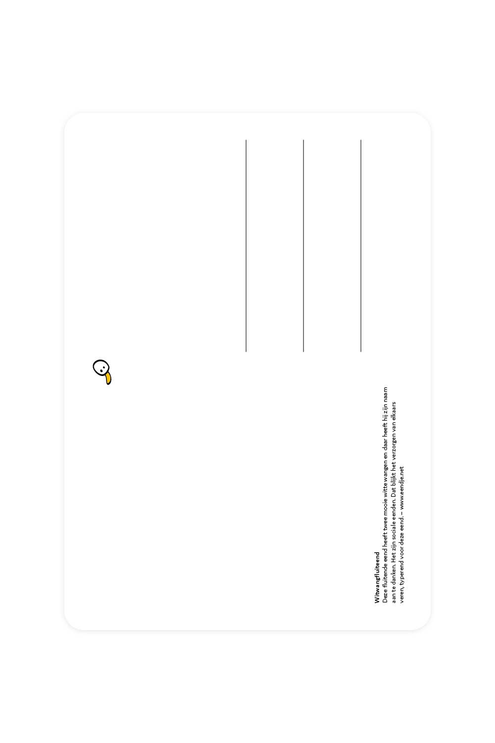 Carte postale Dendrocygne veuf