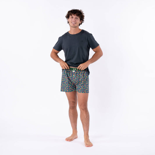 Boxer shorts in 100% organic cotton - Brown bear
