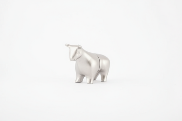 Taurus Magnetic Photo Holder