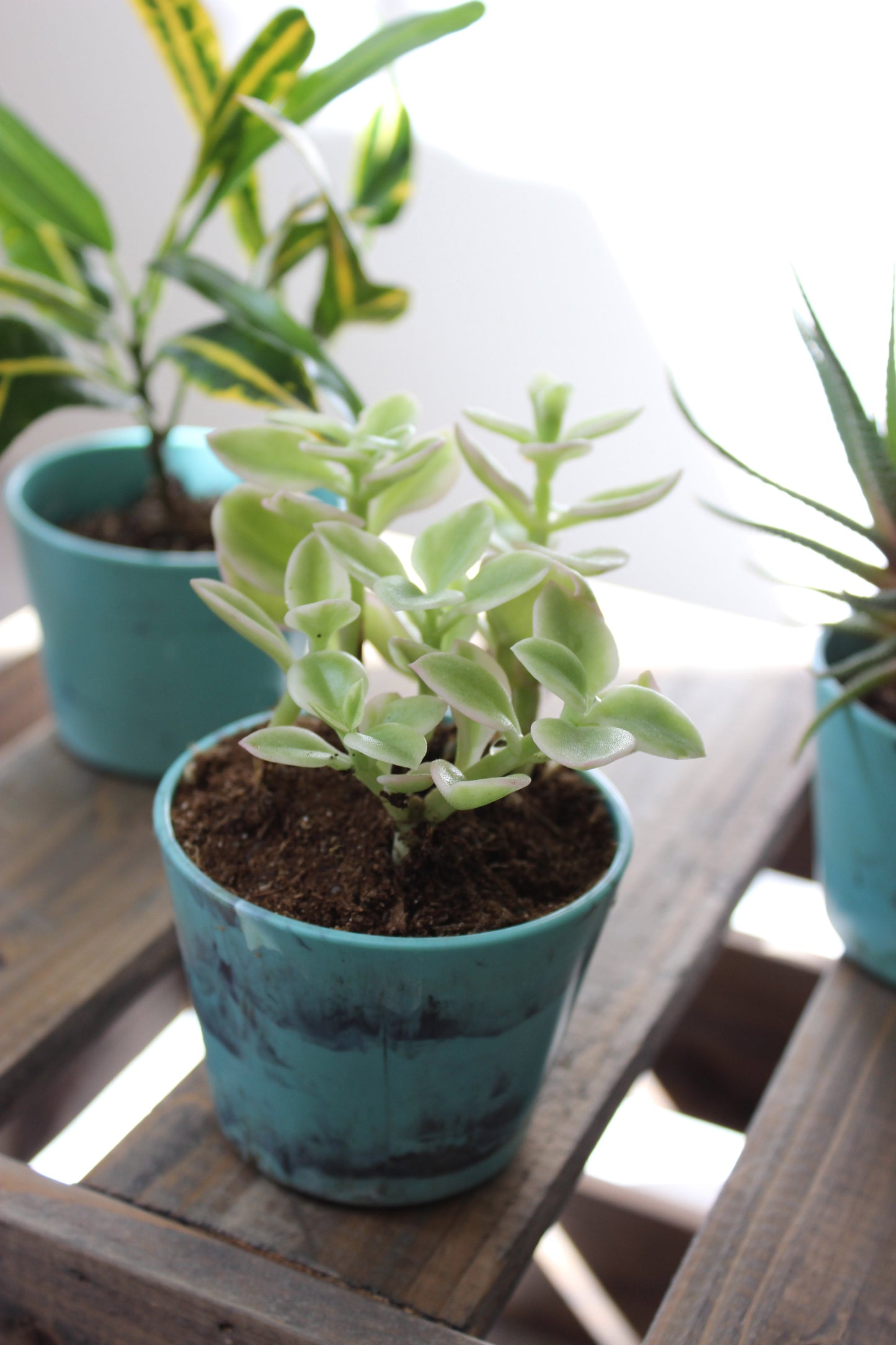 Klein potje met marmerlook