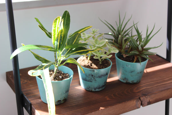 Pot Marble Garden 80