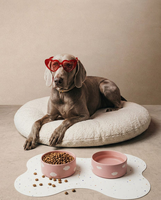 Nouveau Set de table Bone Party pour gamelles de chien