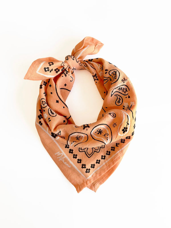 Petit foulard - OSCAR