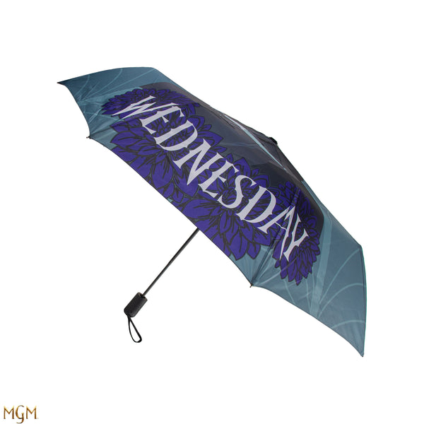 Wednesday Umbrella and her cello