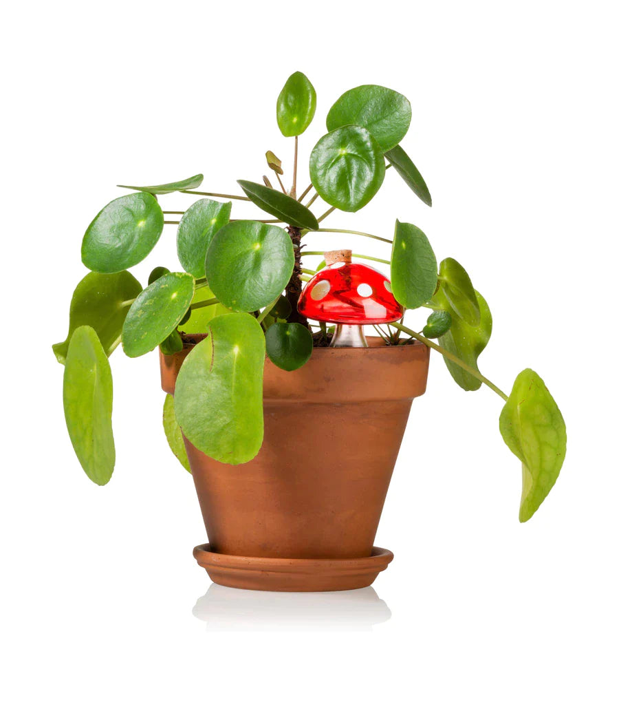 Autonome paddenstoelsproeier