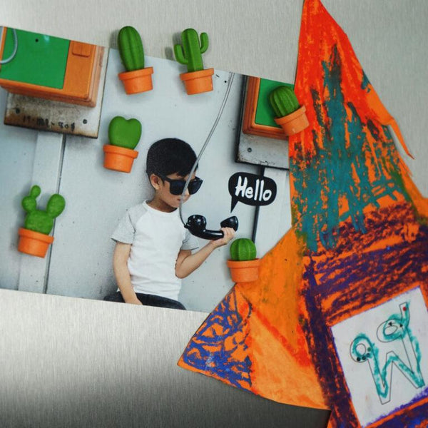 Cactus Magnets “Cacnet”