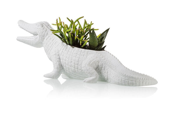 Pot de fleur Crocodile Bitten – Cache-pot original