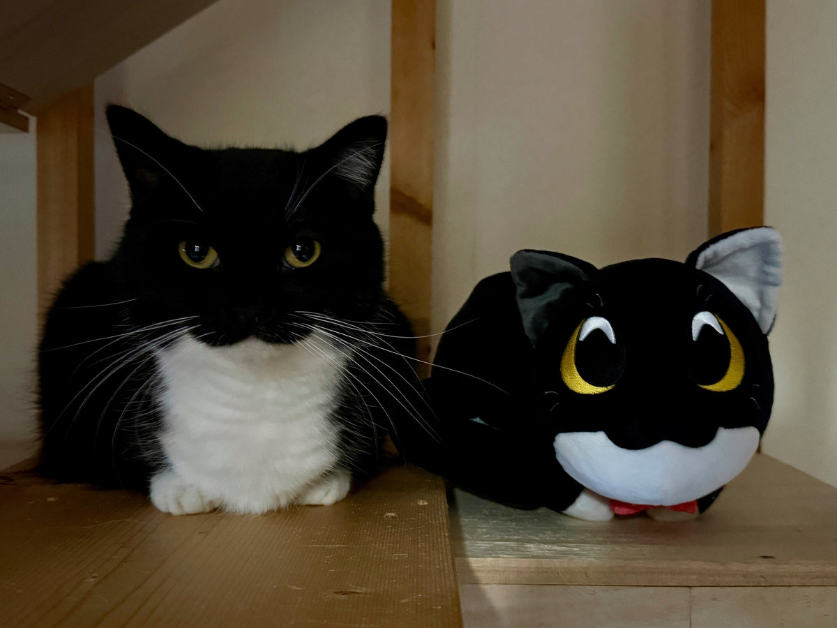Uni V3 Plush (9in)