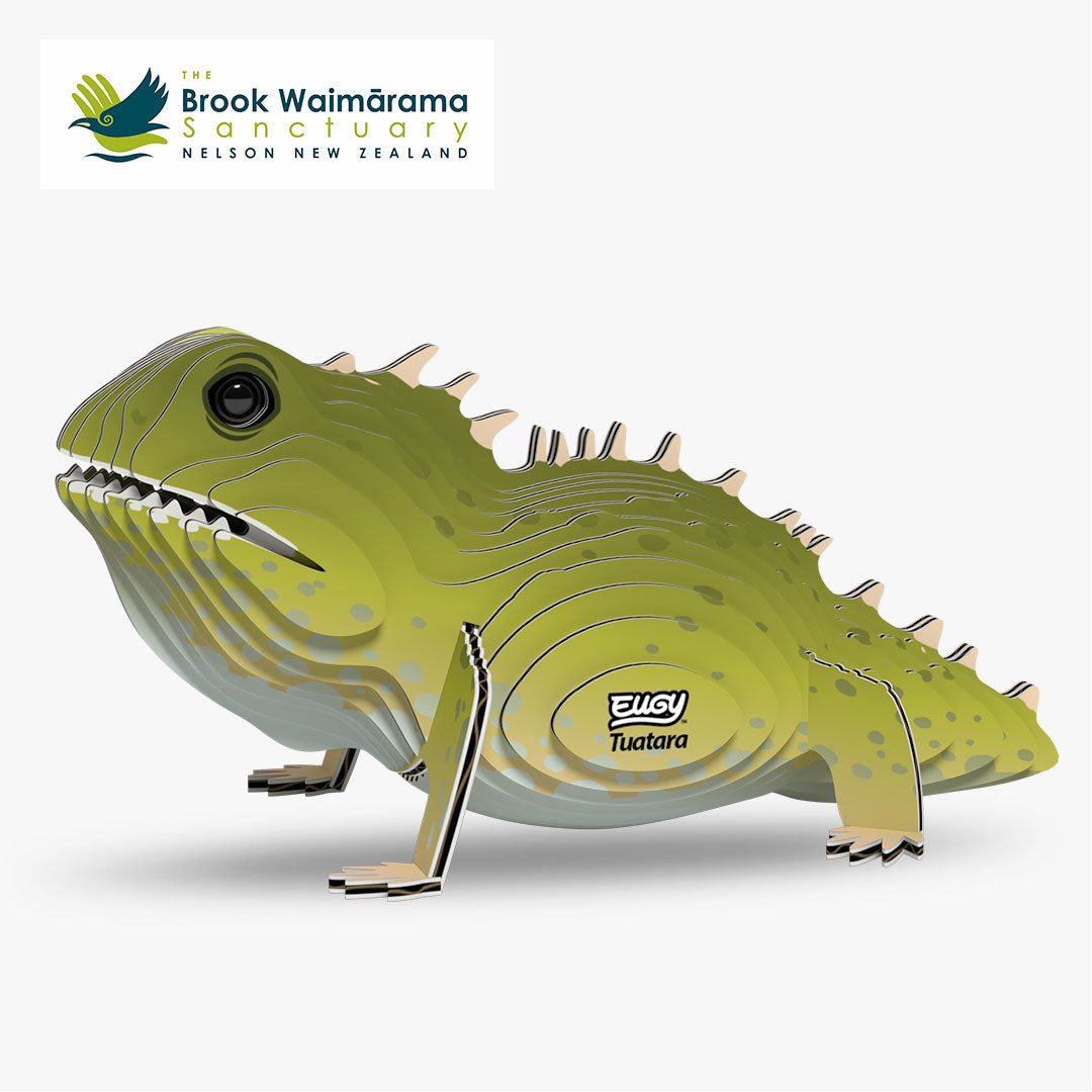 Maquette 3D EUGY 004 Tuatara – vue 1