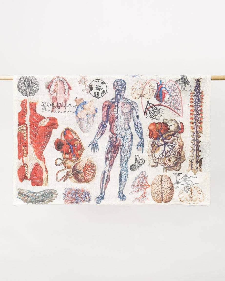 Anatomy Dishcloth