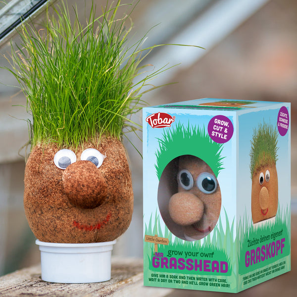 TÊTE D'HERBE