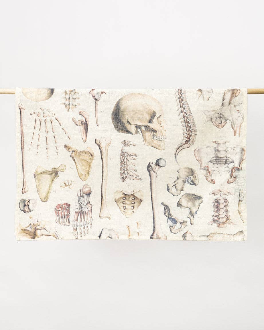 Torchon Osteology