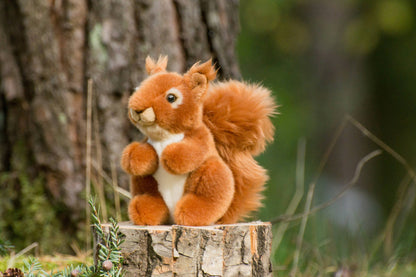 Plush Squirrel