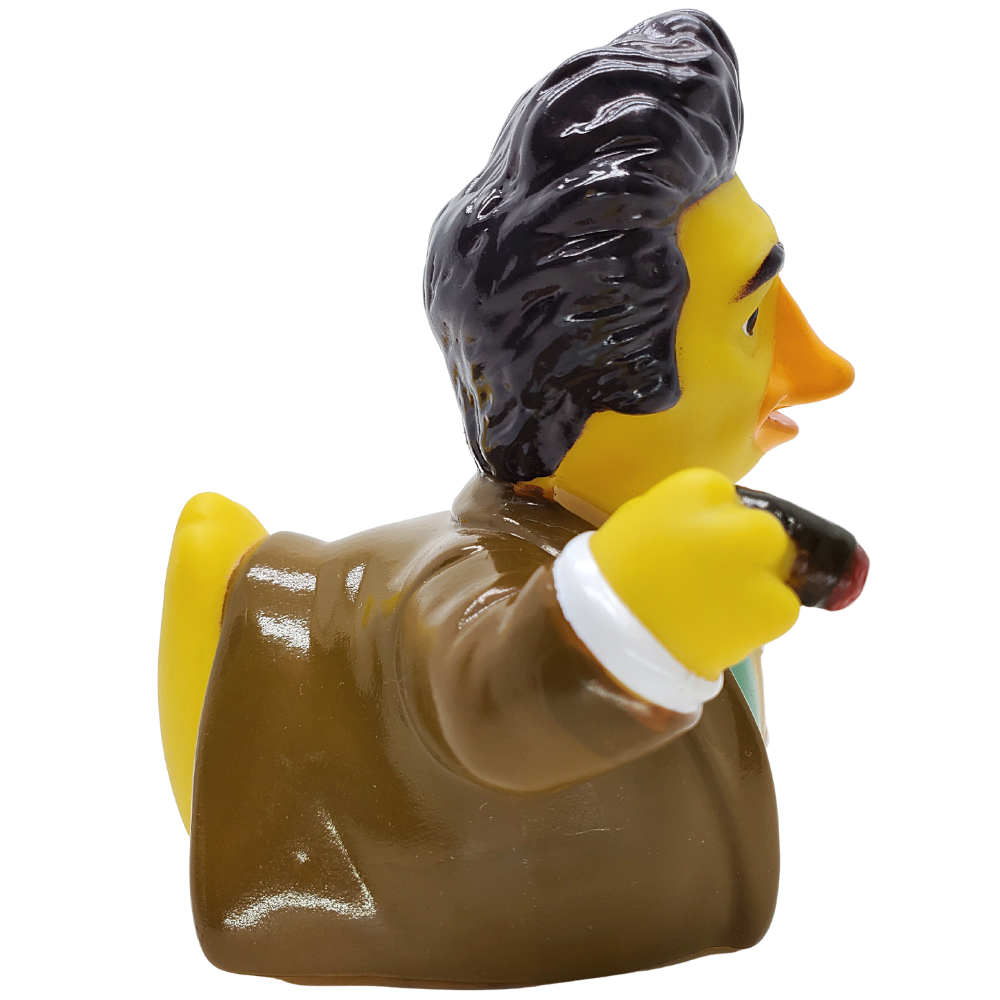 Sein-Fowl Duck