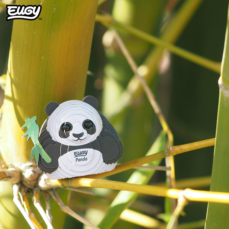 013 Panda
