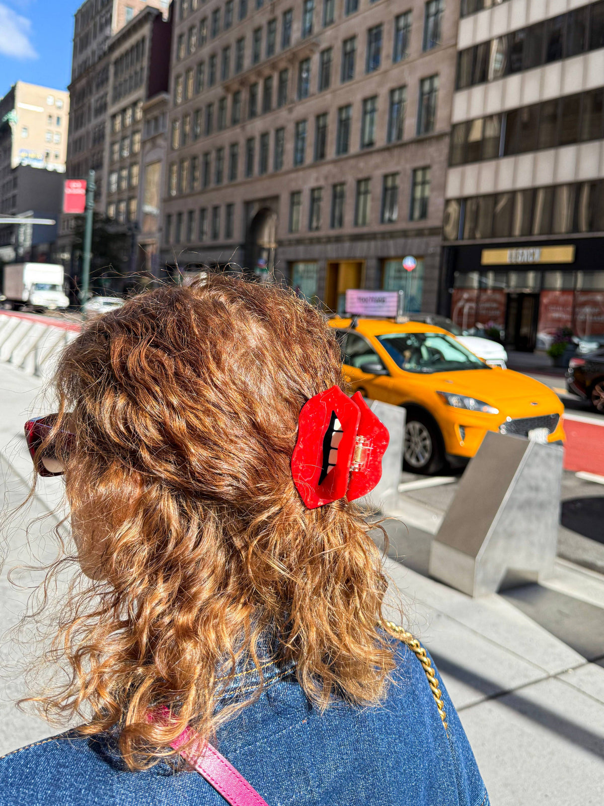 Lip hair clip