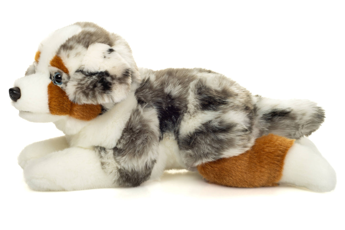 Lying Australian Shepherd Plush