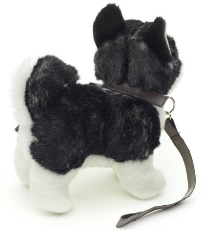 Peluche Chiot husky, debout avec laisse