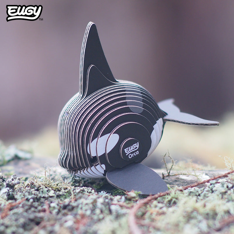 020 Orca
