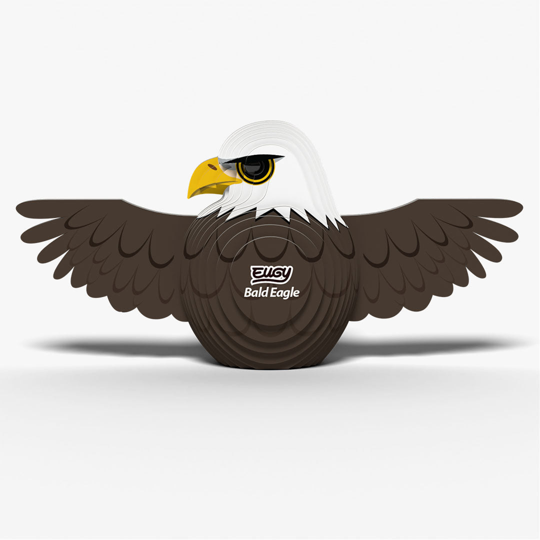 022 Bald Eagle