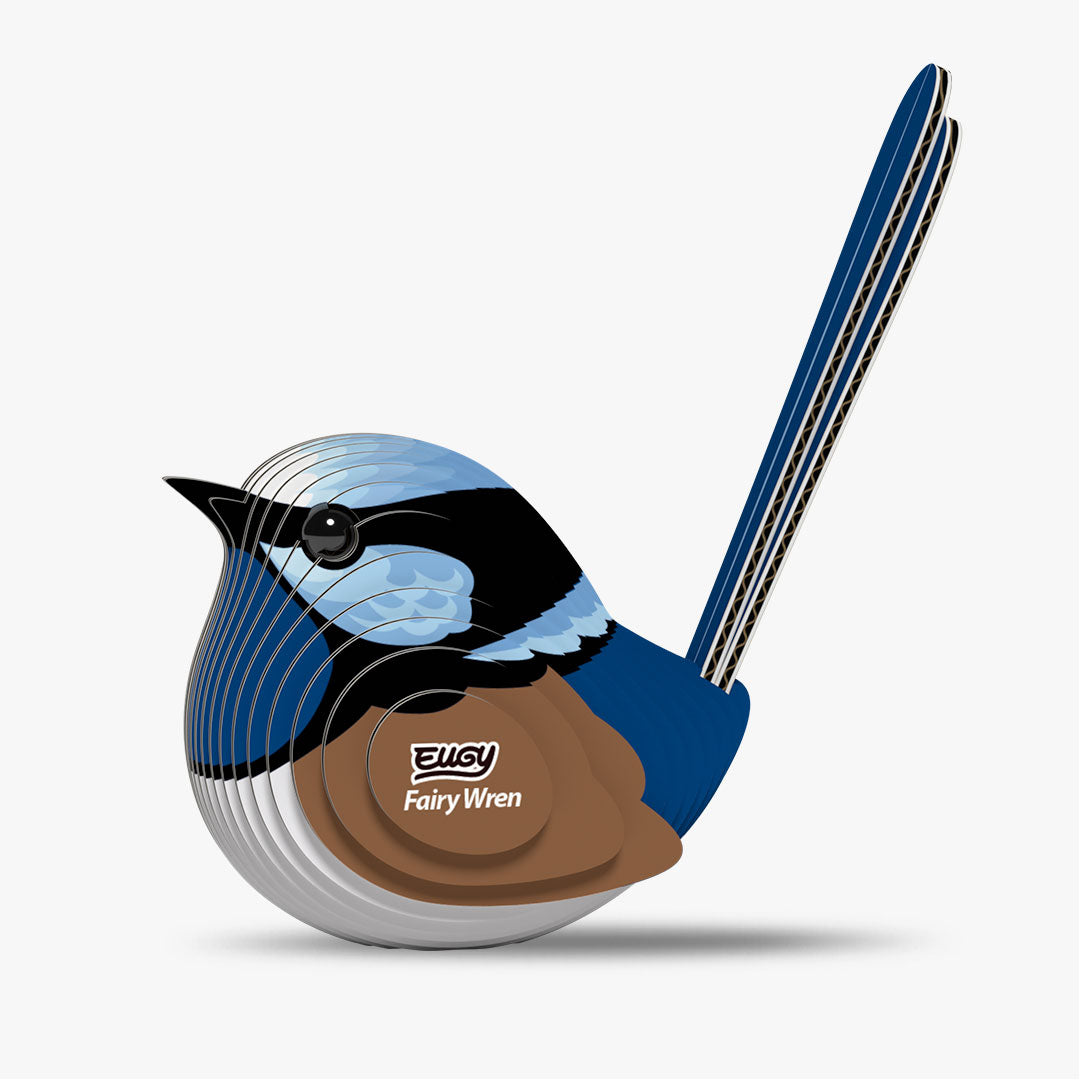 025 Superb Starling