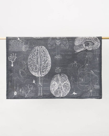 Torchon Science du Cerveau et des Neurosciences – produit scientifique Cognitive Surplus EU, vue 3