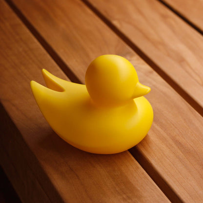 Minimalist Duck