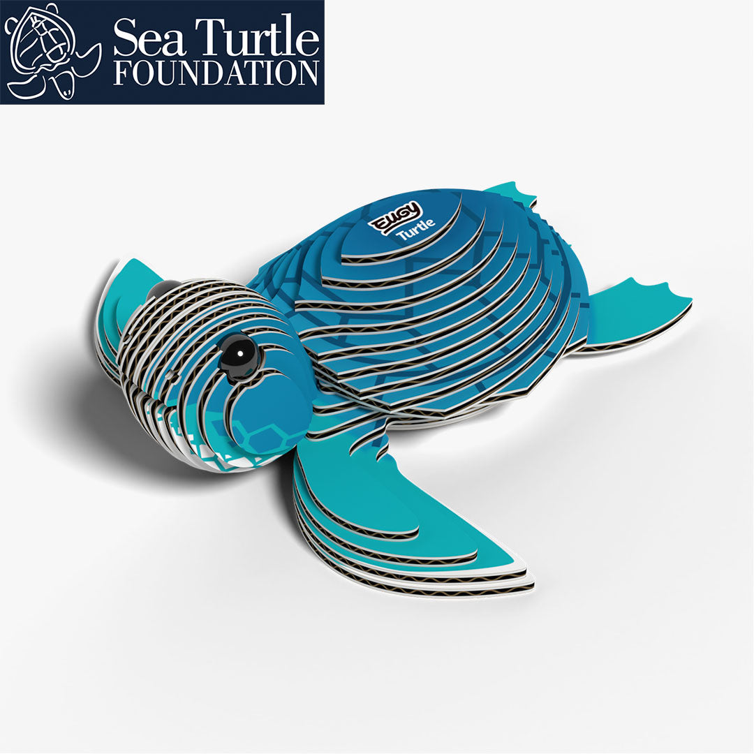 038 Turtle