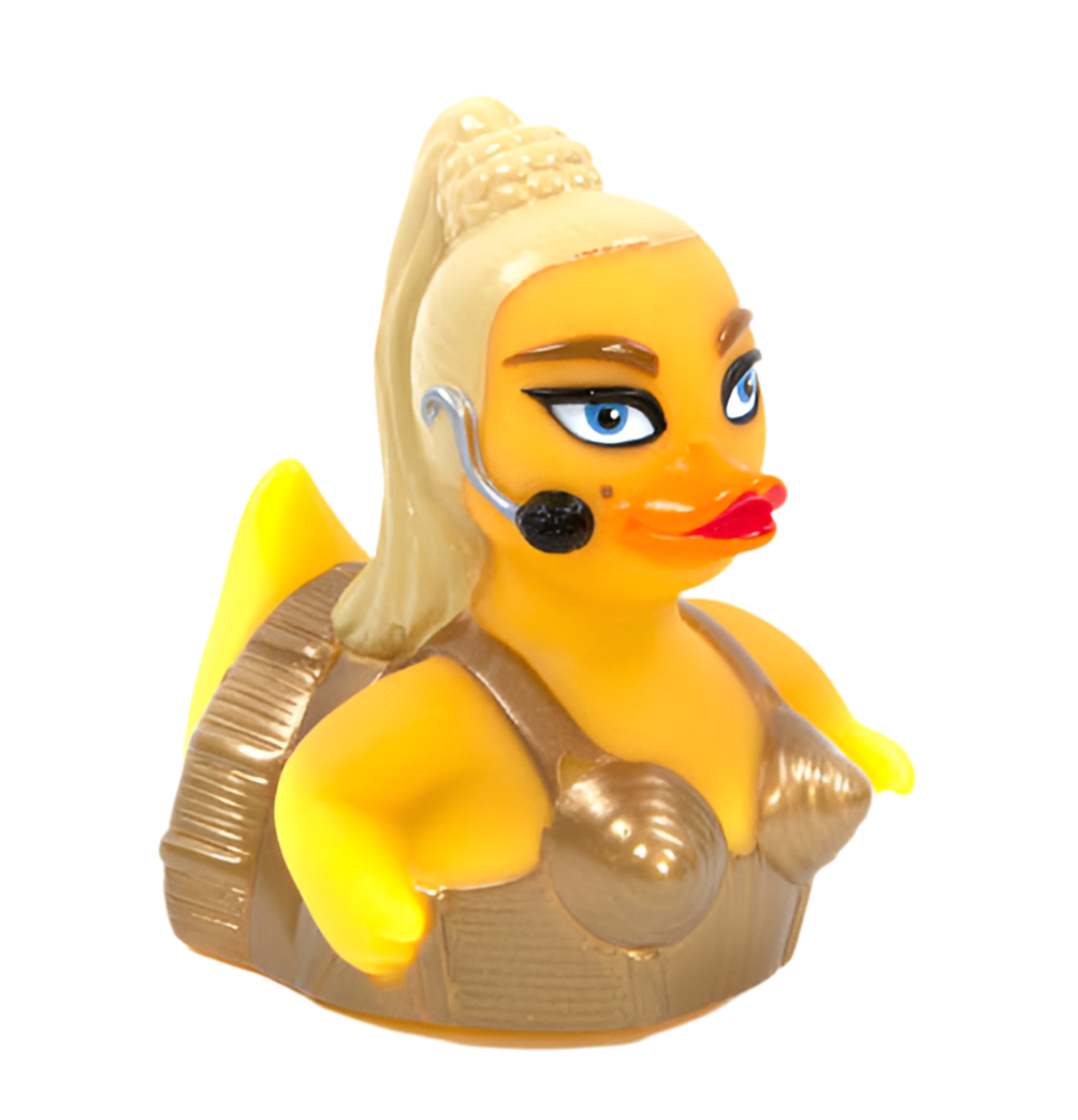 Canard THE MATERIAL BIRD