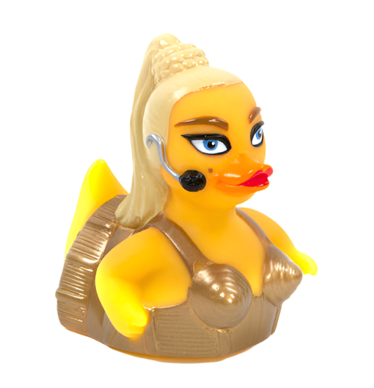Canard THE MATERIAL BIRD