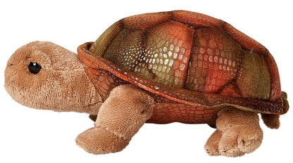 Reuzenschildpad pluche