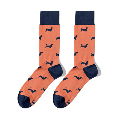 Guau! Sock Pack 🐶💛🐾