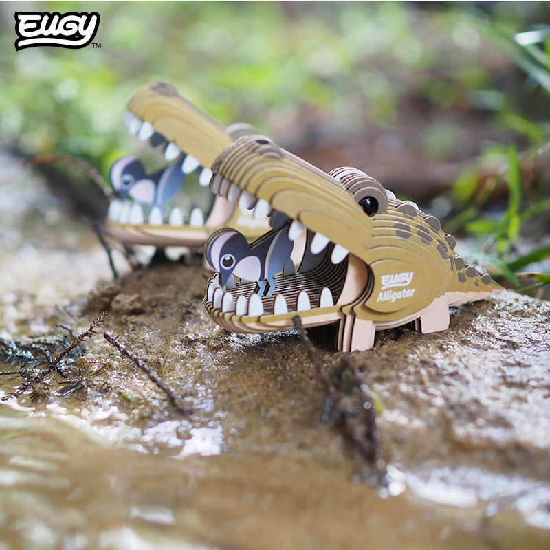 043 Alligator