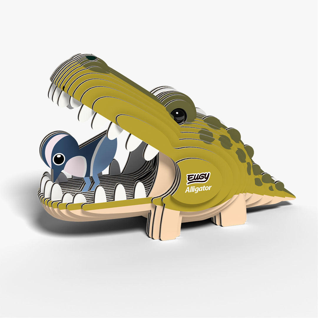 043 Alligator